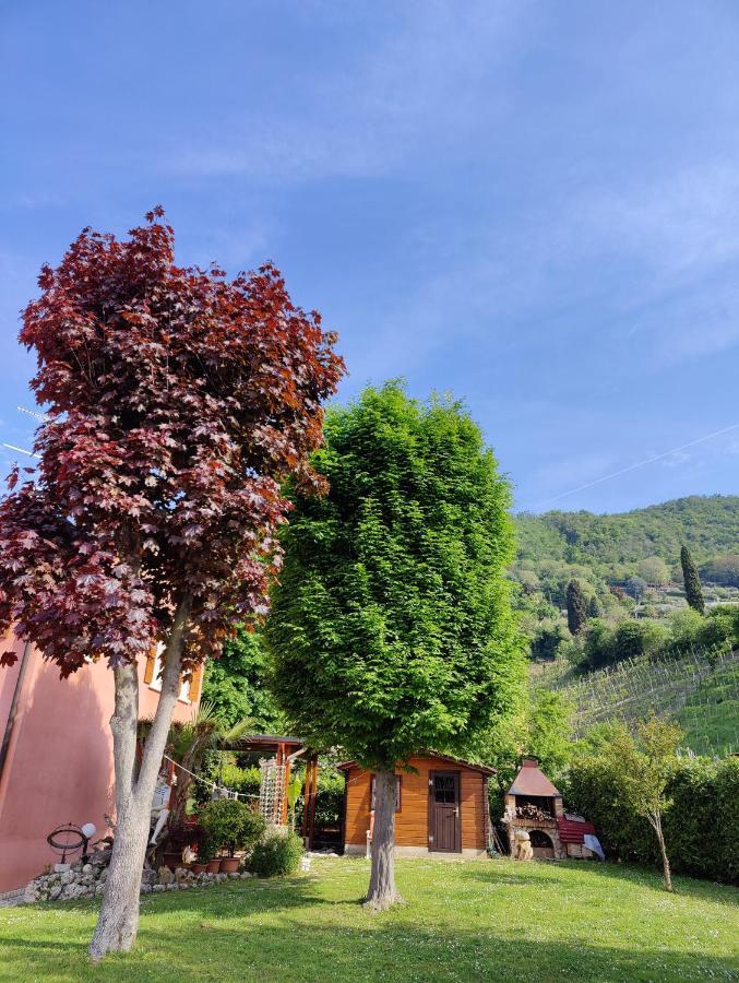 Casa Vacanze Monte Villa ピエーヴェ・ディ・ソリーゴ エクステリア 写真